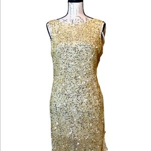 Beautiful sequin dress for the holidays!